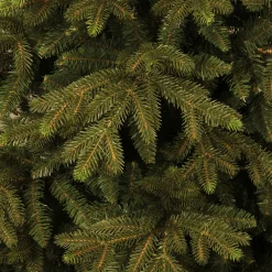 Black Box Trees Kerstboom Macallan (H185 X O127 Cm)