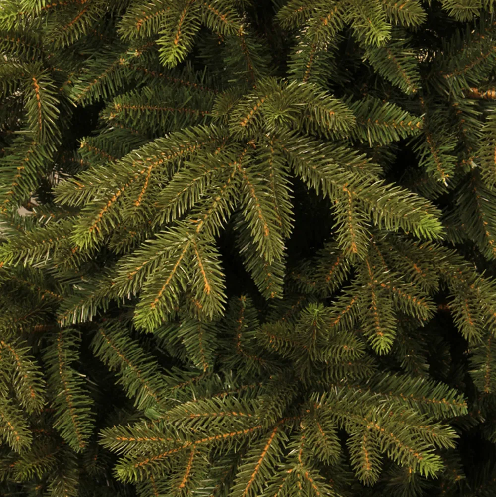 Black Box Trees Kerstboom Macallan (H185 X O127 Cm)