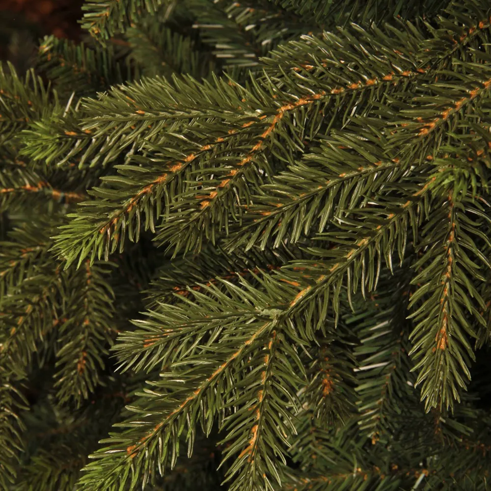 Black Box Trees Kerstboom Macallan (H185 X O127 Cm)