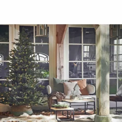 Black Box Trees Kerstboom Macallan (H185 X O127 Cm)