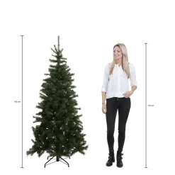 Clearance Black Box Trees Kerstboom Toronto (H185 X O114 Cm)