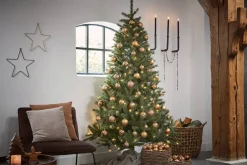 Clearance Black Box Trees Kerstboom Toronto (H185 X O114 Cm)