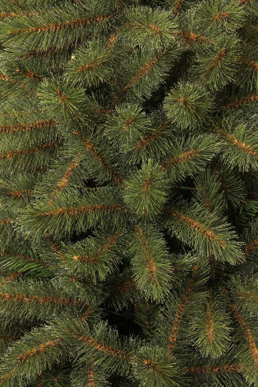 Clearance Black Box Trees Kerstboom Toronto (H185 X O114 Cm)