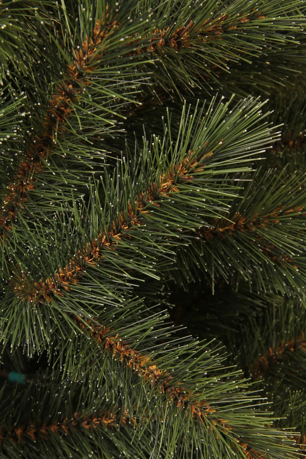 Online Black Box Trees Kerstboom Toronto (H155 X O102 Cm)