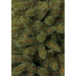Clearance Black Box Trees Kerstboom Toronto (H215Xo132 Cm)