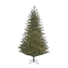 Outlet Black Box Trees Verlichte Kerstboom Frasier (H185 X O124 Cm)