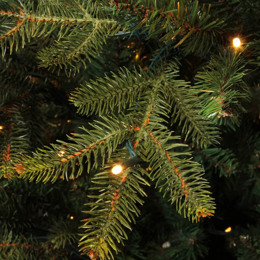 Outlet Black Box Trees Verlichte Kerstboom Frasier (H185 X O124 Cm)