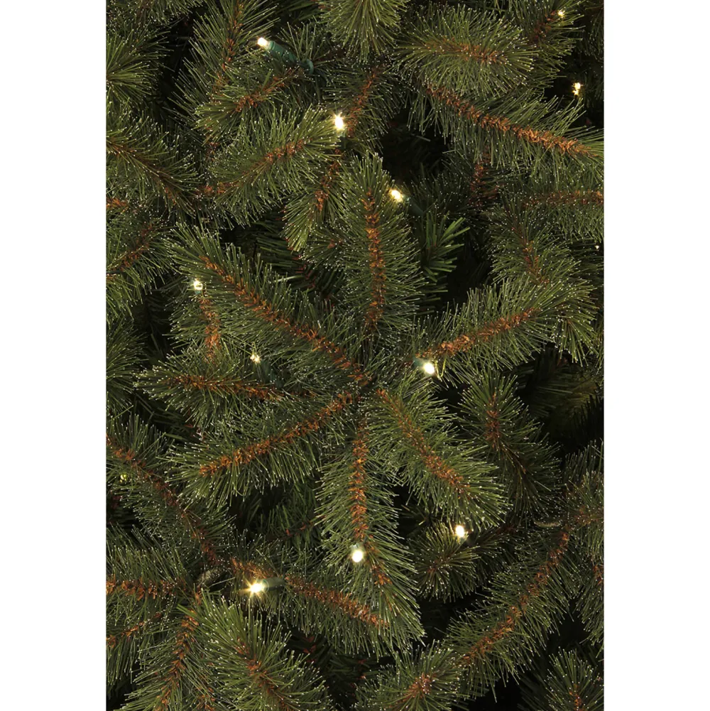 Discount Black Box Trees Verlichte Kerstboom Toronto (H185Xo114 Cm)
