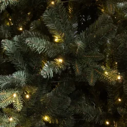 Online Black Box Trees Verlichte Kerstboom Elkins (H185 X O104 Cm)