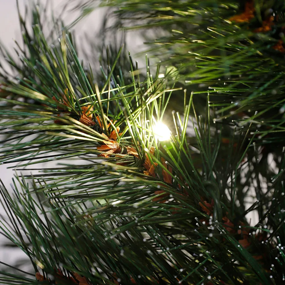 Online Black Box Trees Verlichte Kerstboom Sotka (H185 X O66 Cm)