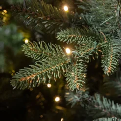 Online Black Box Trees Verlichte Kerstboom Elkins (H230 X O132 Cm)