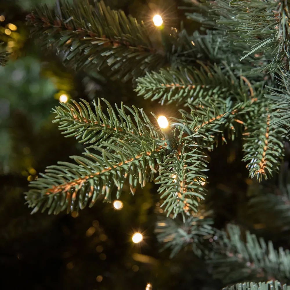 Online Black Box Trees Verlichte Kerstboom Elkins (H230 X O132 Cm)