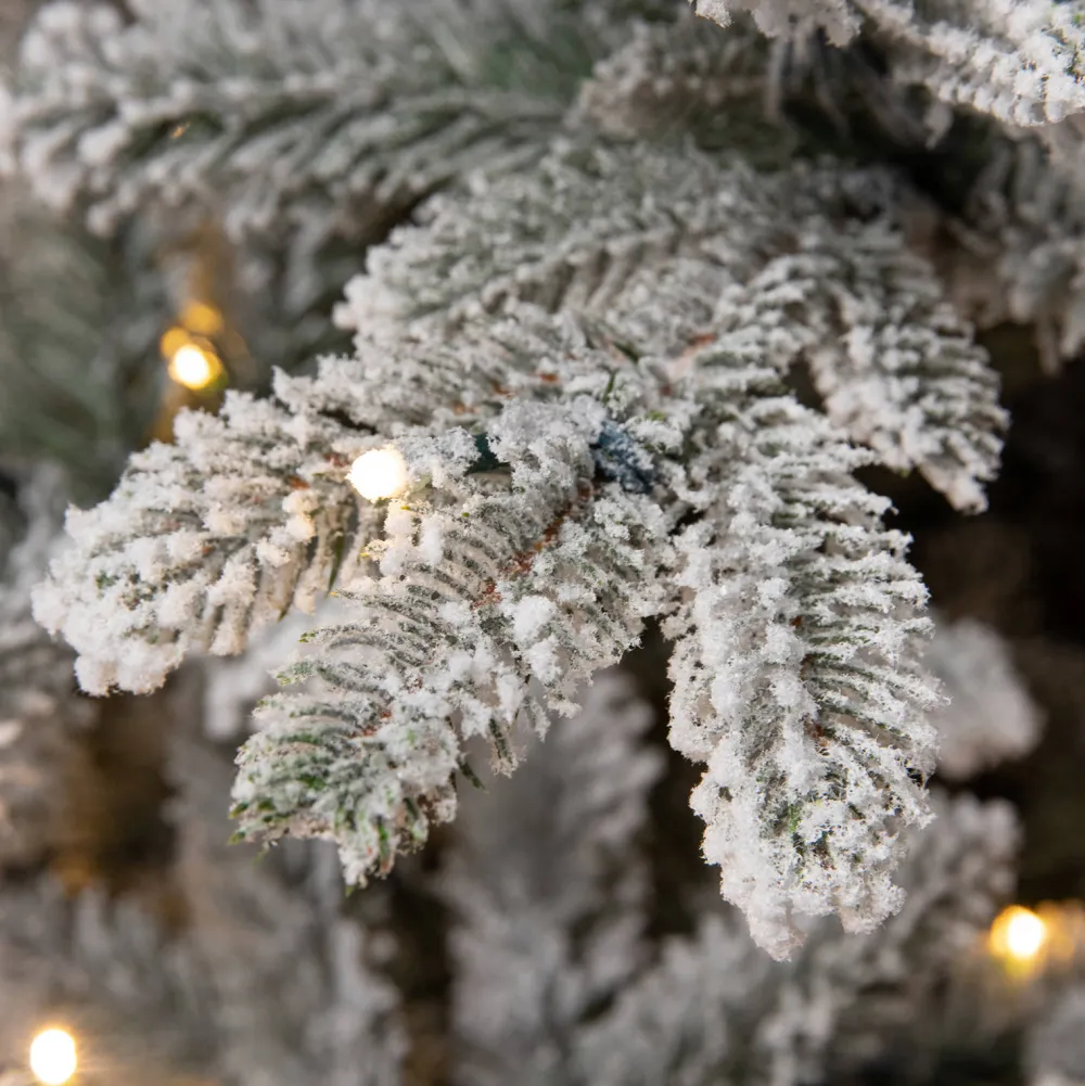 Hot Black Box Trees Verlichte Kerstboom Frasier (H215 X O145Cm)