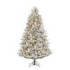 Best Black Box Trees Verlichte Kerstboom Frasier (H185 X O124Cm)