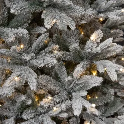 Best Black Box Trees Verlichte Kerstboom Frasier (H185 X O124Cm)