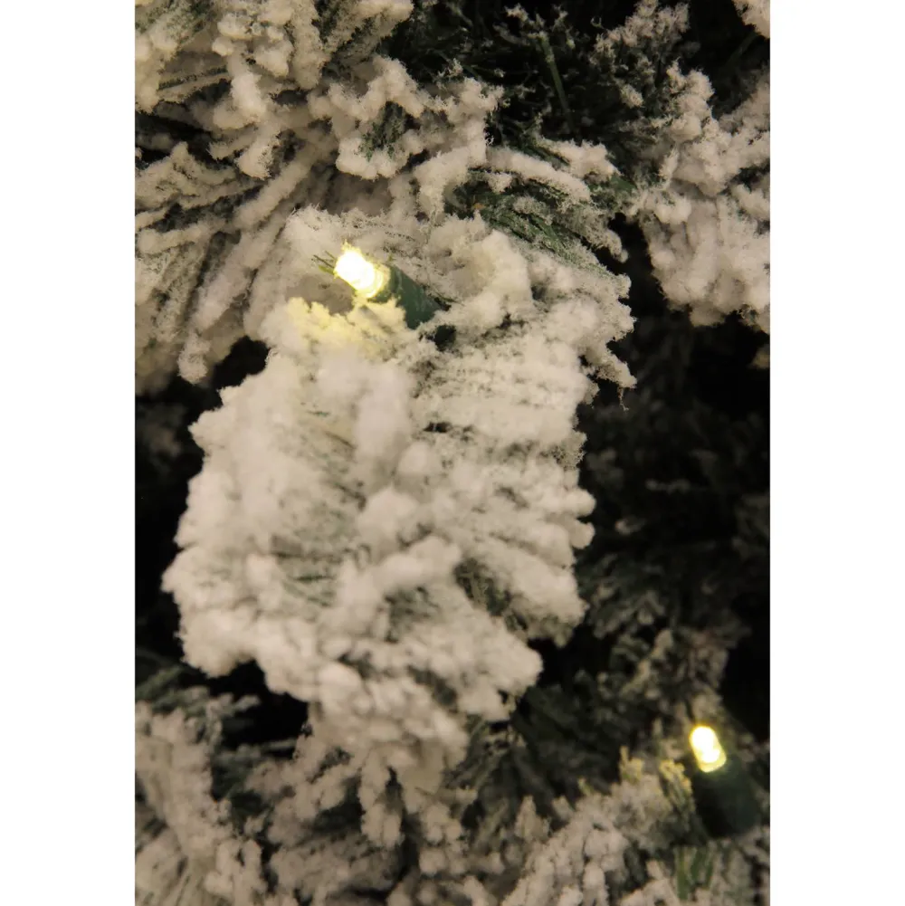 Sale Black Box Trees Verlichte Kerstboom Millington (H185 X O109 Cm)