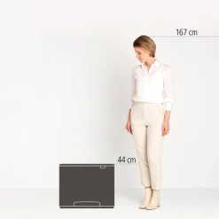 Hot Brabantia Bo Pedaalemmer (36L)