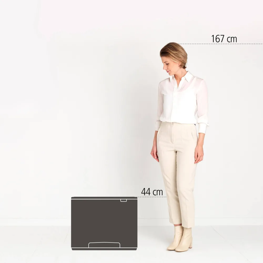 Brabantia Bo Pedaalemmer (3X11L)