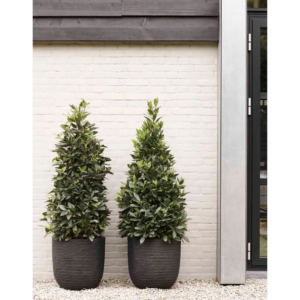 Capi Bloempot Nature Row (O43X41 Cm)