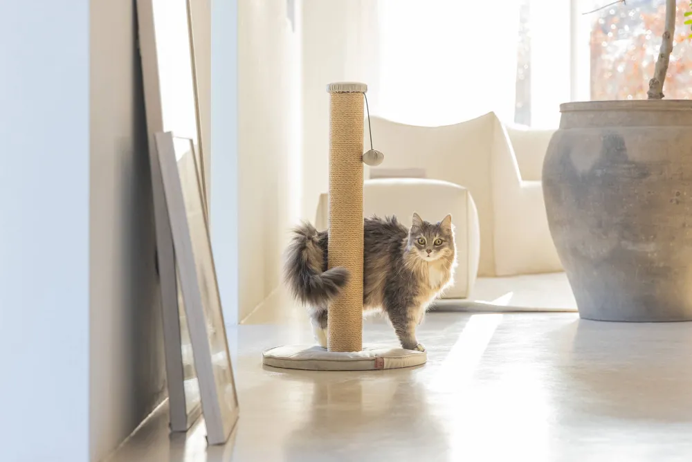 Discount Designed by Lotte Krabpaal Yenna 41X70 Grijs