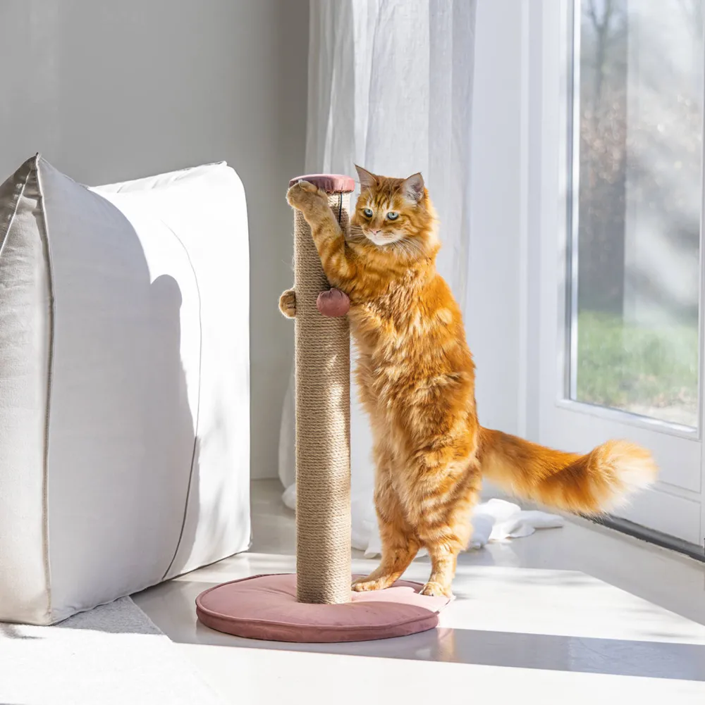 Online Designed by Lotte Krabpaal Yenna -41X70- Roze