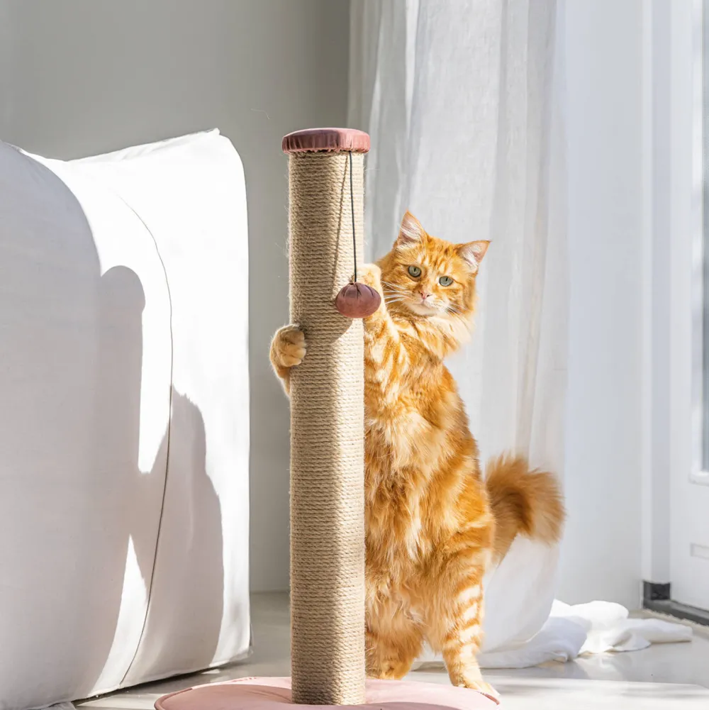 Online Designed by Lotte Krabpaal Yenna -41X70- Roze