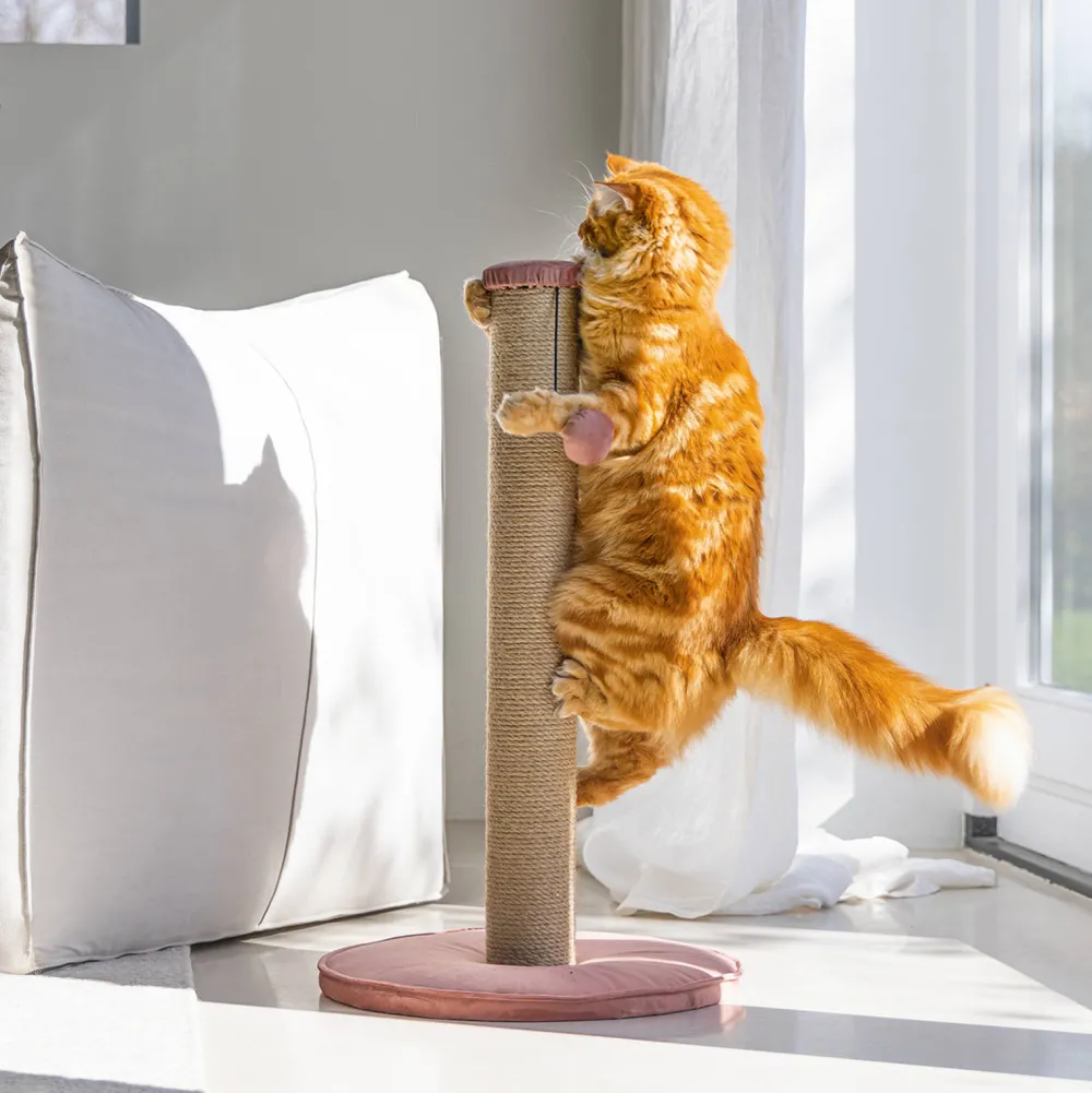 Online Designed by Lotte Krabpaal Yenna -41X70- Roze