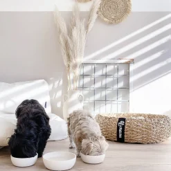 District 70 Bamboo Hond Voerbak - L - Merengue