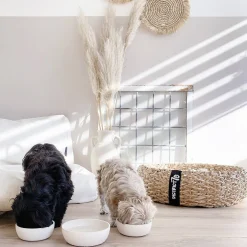 Hot District 70 Bamboo Hond Voerbak - M - Merengue