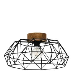 Clearance EGLO Plafondlamp Padstow