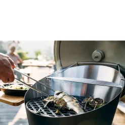 Höfats Hofats Cone Barbecue (Houtskool)