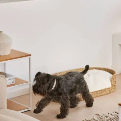 Outlet Kave Home Hondenkussen Codie O 80 X 50 Cm