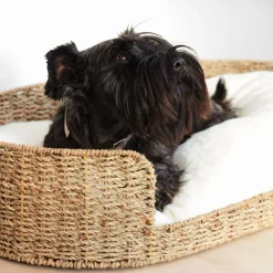 Outlet Kave Home Hondenkussen Codie O 80 X 50 Cm