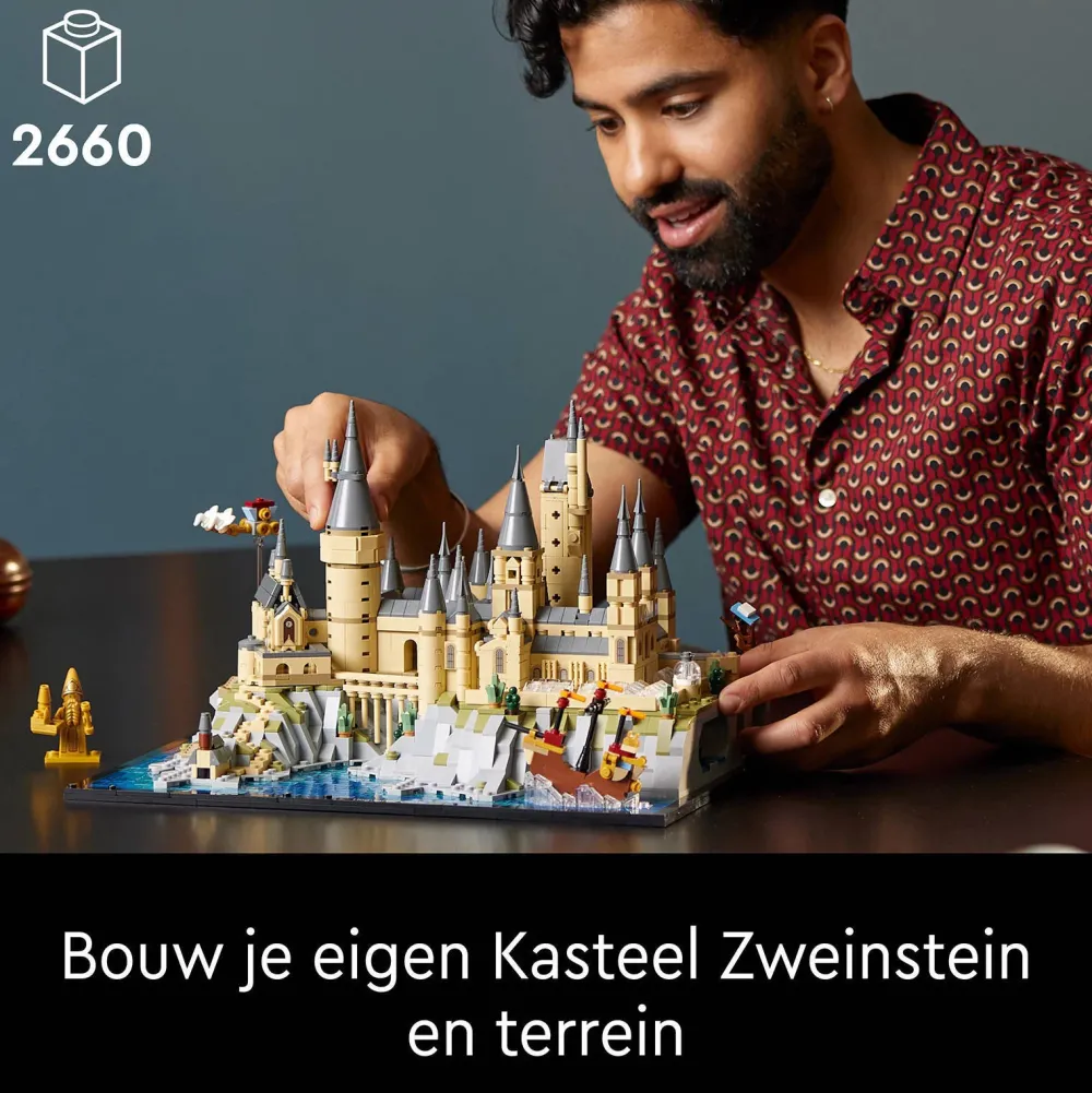 LEGO Harry Potter Kasteel Zweinstein En Terrein 76419