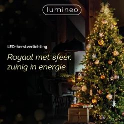 Discount Lumineo Verlichtingssnoer Met Twinkel (750 Led)
