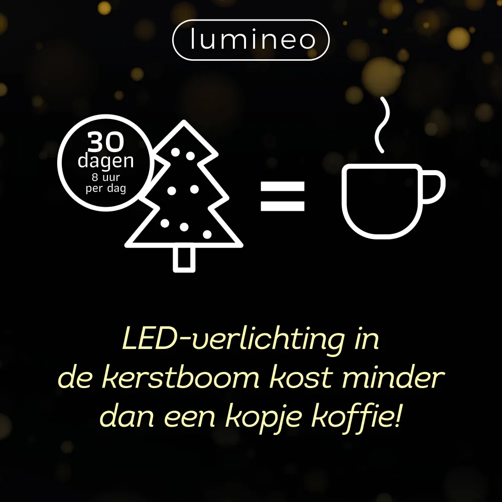Lumineo Verlichtingssnoer Kerst Cluster (768 Led)