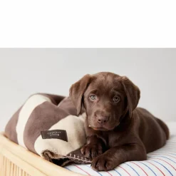 Hot OYOY ZOO Honden / Katten Plaid Kaya (100X80 Cm)