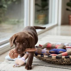 OYOY ZOO Hondenspeeltje Otto (22 Cm)