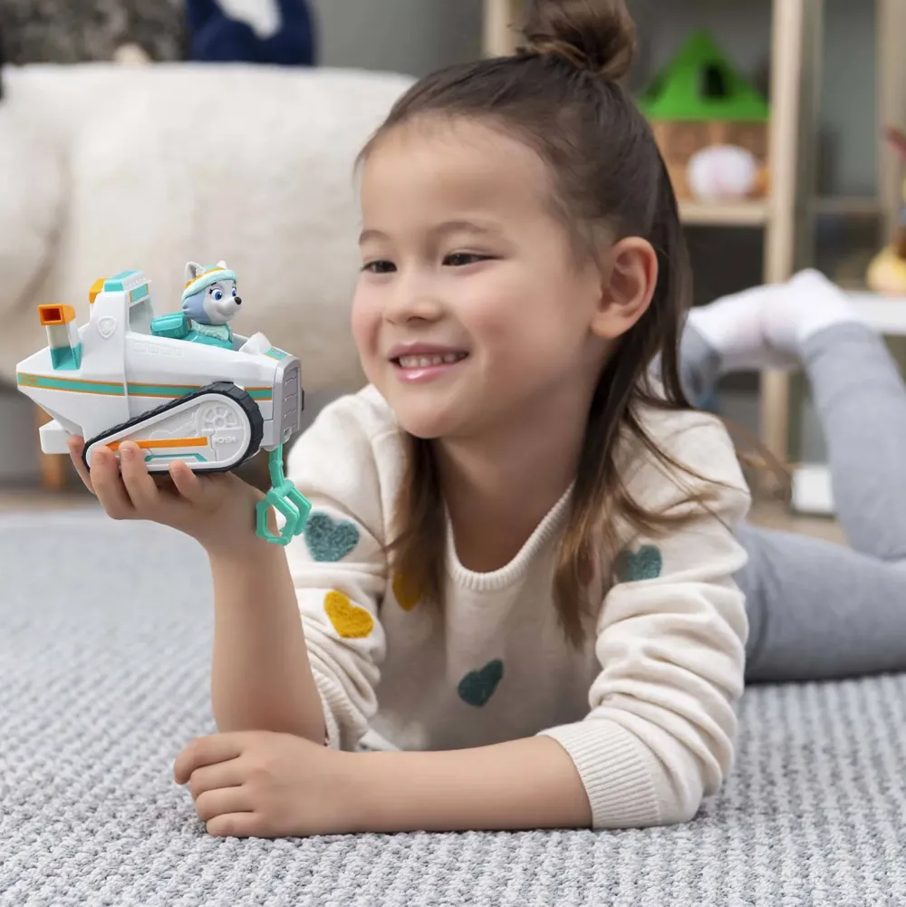 Paw Patrol Voertuig Met Pup Everest