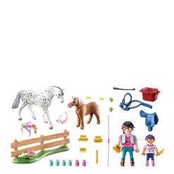 Playmobil Starter Pack Paardenverzorging - 71259