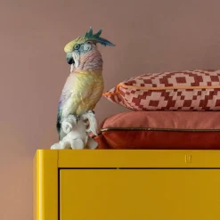 Online Raaf Sierkussenhoes African (35X50 Cm)