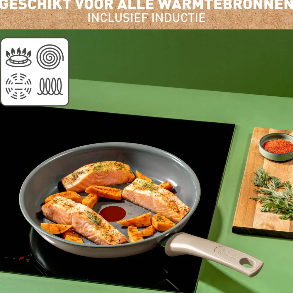 Clearance Tefal Revive Koekenpan (O24 Cm)