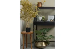 Hot WOOOD Exclusive Wandkastje Dido