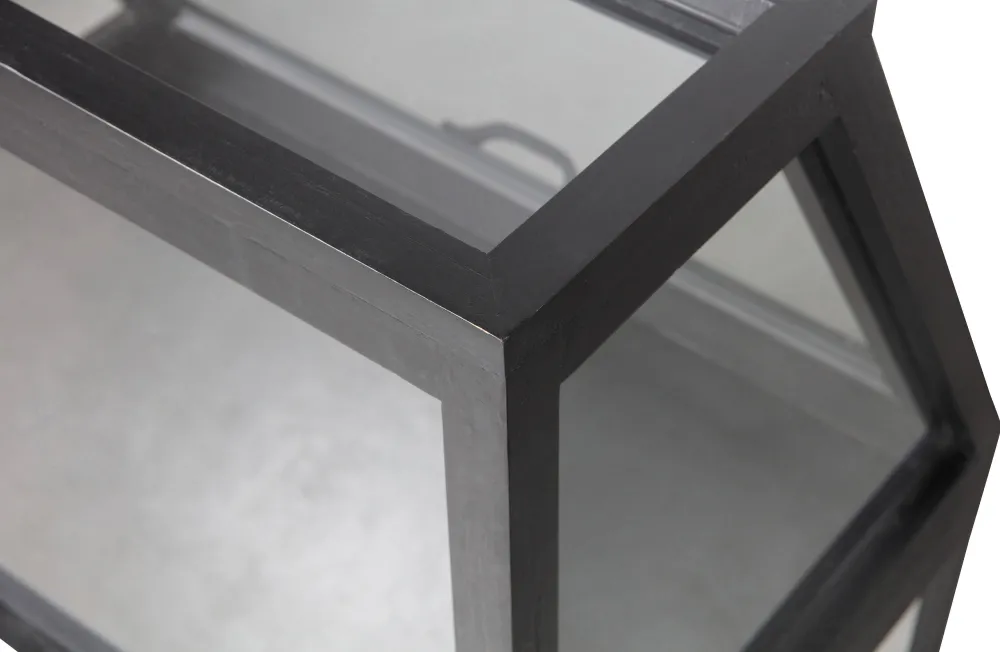 Hot WOOOD Exclusive Wandkastje Dido